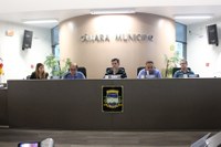 Pauta da 30ª Sessão Ordinária - CMI