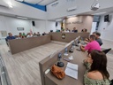 Resumo da 1ª Sessão Extraordinária de 2023 Resumo da 1ª Sessão Extraordinária de 2023